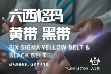 人才合集 - 六西格玛黄带黑带